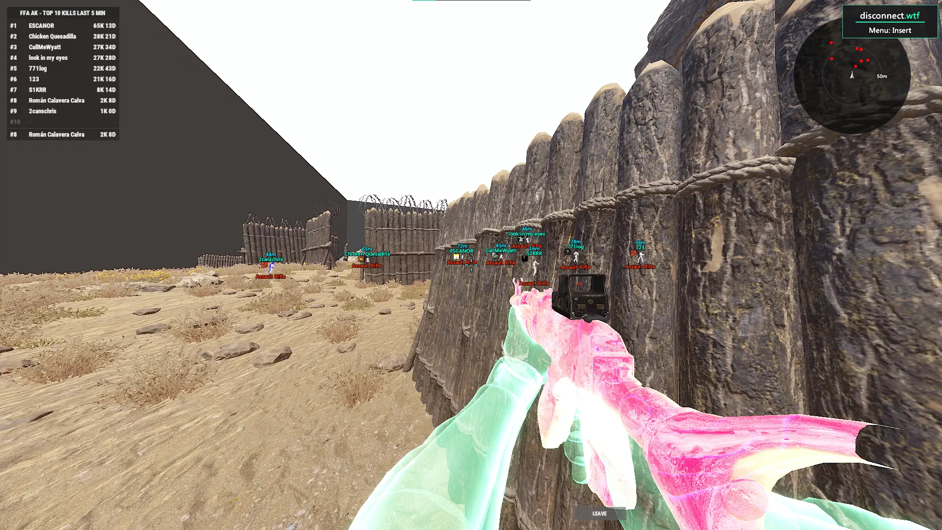 What the player sees